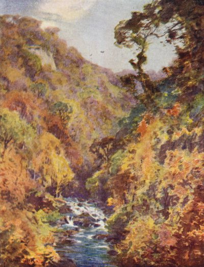 The Dargle, County Wicklow af Alfred Heaton Cooper