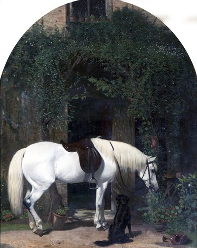 Hvid hest og retriever af Alfred Hichens Corbould