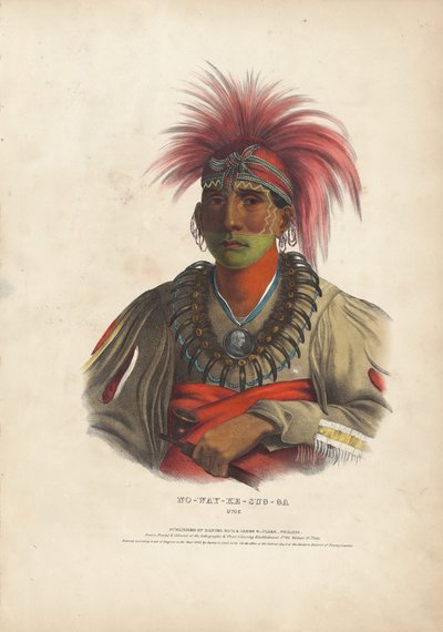 Ingen sum y - tilfælde g - er Otoe af Alfred Hoffy, after Charles Bird King
