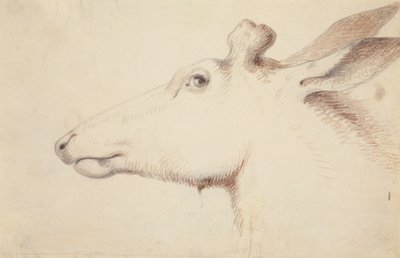 Elg. ca. 1837 (tegning) af Alfred Jacob Miller