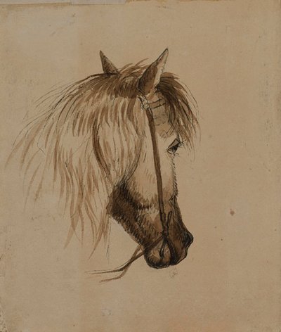 Hestehoved af Alfred Jacob Miller
