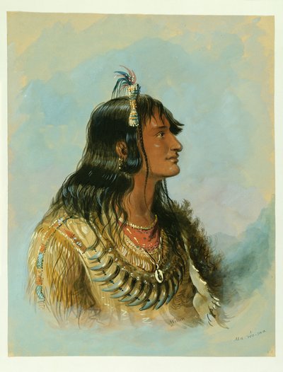  af Alfred Jacob Miller