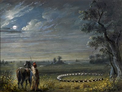 Medisincirkler af Alfred Jacob Miller
