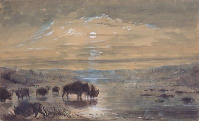 Nattescene, Buffaloes on the Prairie, ca. 1837 (akvarel på papir) af Alfred Jacob Miller