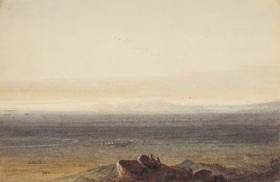Prairie, ca. 1837 (blyant, akvarel og gouache på papir) af Alfred Jacob Miller