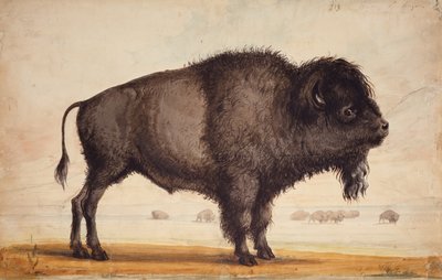 Scenting the Breeze, ca. 1837 (akvarel på papir) af Alfred Jacob Miller