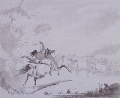 Kaster lasso, ca. 1837 (pen og blæk med grå vask på gråt kort) af Alfred Jacob Miller