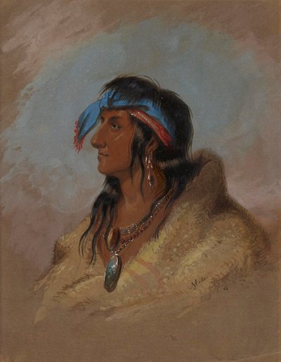 White Plume af Alfred Jacob Miller
