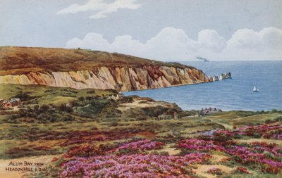 Alum Bay, fra Headon Hill, IOW af Alfred Robert Quinton