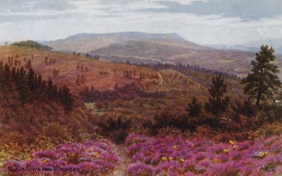 Blackdown fra baghovedet af Alfred Robert Quinton