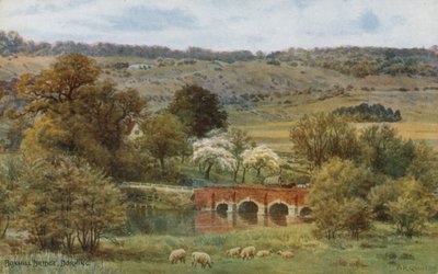 Boxhill Bridge, Dorking af Alfred Robert Quinton