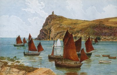 Bradda Head, Port Erin, I of Man af Alfred Robert Quinton