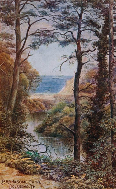 Branksome Chine, Bournemouth af Alfred Robert Quinton