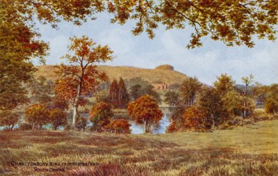 Chanctonbury Ring, fra Wiston Pond, South Downs af Alfred Robert Quinton