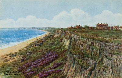 Klipper, der ser mod vest, Barton-on-Sea af Alfred Robert Quinton