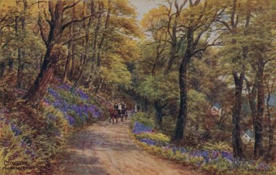 Clovelly, The Hobby Drive af Alfred Robert Quinton