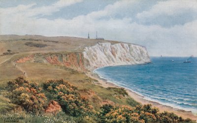 Culver Cliffs, Sandown (farvelitografi) af Alfred Robert Quinton