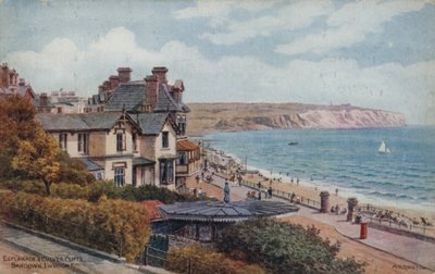 Esplanade og Culver Cliffs, Sandown, I of Wight af Alfred Robert Quinton
