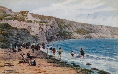 Folkestone, The Warren Beach af Alfred Robert Quinton