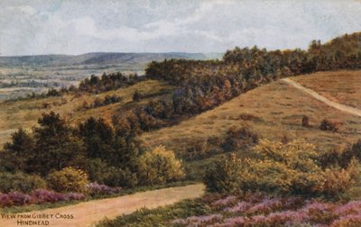 Gibbet Cross, Baghoved af Alfred Robert Quinton