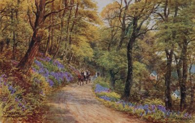 Hobby Drive, Clovelly (farve litho) af Alfred Robert Quinton