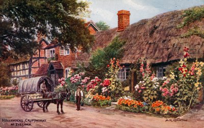 Stokroser, Cropthorne, Evesham af Alfred Robert Quinton
