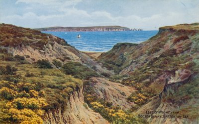 Isle of Wight, fra Becton Bunny, Barton-on-Sea (farvelitografi) af Alfred Robert Quinton