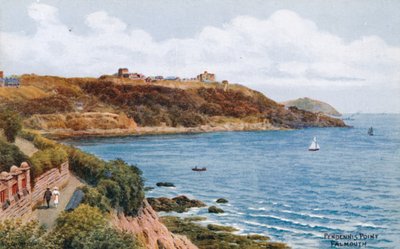 Pendennis Point, Falmouth af Alfred Robert Quinton
