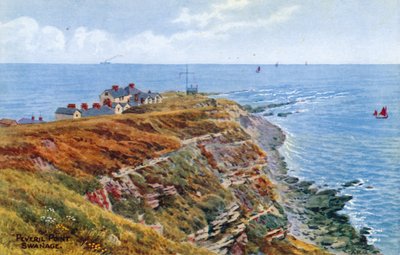 Peveril Point, Swanage af Alfred Robert Quinton