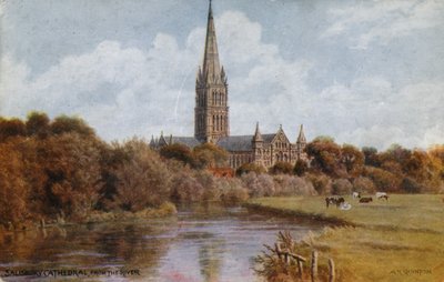 Salisbury katedral af Alfred Robert Quinton