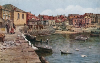 Måger i havnen, St Ives, Cornwall af Alfred Robert Quinton