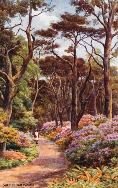 Sheringham Woods af Alfred Robert Quinton