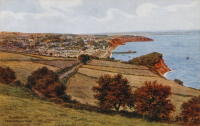 Teignmouth, fra Torquay Road af Alfred Robert Quinton