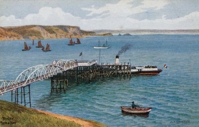 Tenby, Pier og Bay af Alfred Robert Quinton