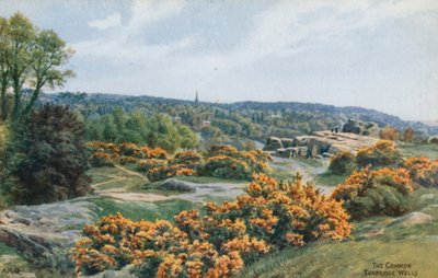 The Common, Tunbridge Wells af Alfred Robert Quinton