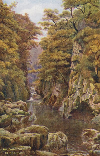The Fairy Glen, Bettws-Y-Coed (farvelitografi) af Alfred Robert Quinton
