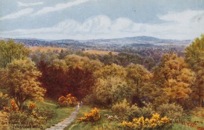 The Happy Valley, Tunbridge Wells af Alfred Robert Quinton