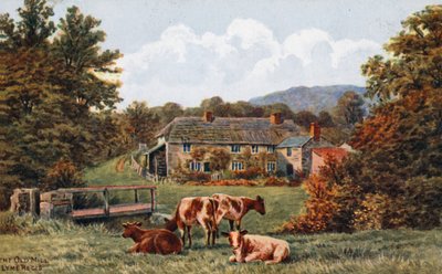 The Old Mill, Lyme Regis af Alfred Robert Quinton