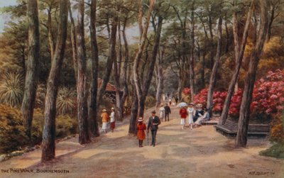 The Pine Walk, Bournemouth af Alfred Robert Quinton