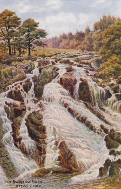 The Swallow Falls, Bettws-Y-Coed (farvelitografi) af Alfred Robert Quinton