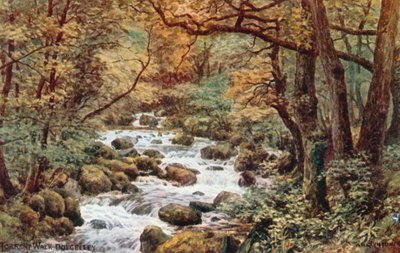 Torrent Walk, Dolgelley af Alfred Robert Quinton