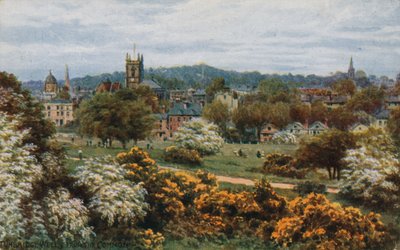 Tunbridge Wells fra The Common af Alfred Robert Quinton