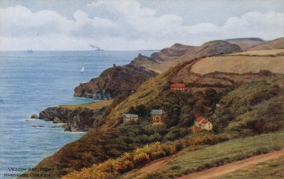 Woody Bay, fra Martinhoe Common af Alfred Robert Quinton