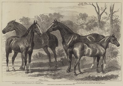 Præmieheste i Skue ved Landbrugshallen af Alfred Sheldon Williams