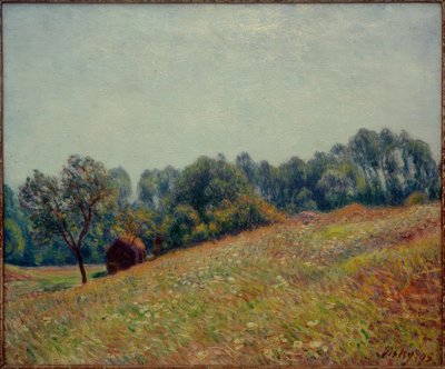 Dalen af Alfred Sisley