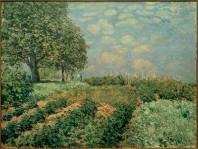 Markerne af Alfred Sisley