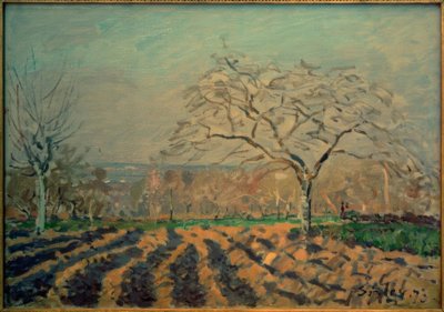 Furer af Alfred Sisley