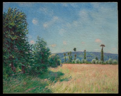Engene ved Sahurs i morgensol af Alfred Sisley