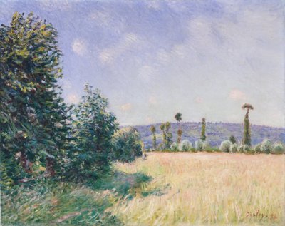 Sahurs Meadows in Morning Sun, 1894. af Alfred Sisley