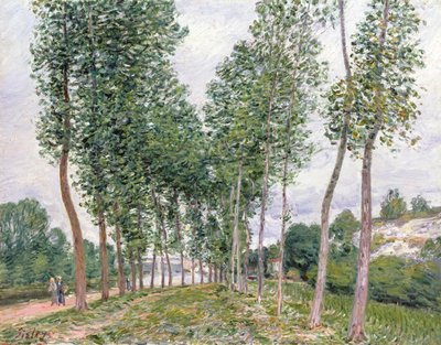 Popler Avenue langs bredden af Loing af Alfred Sisley